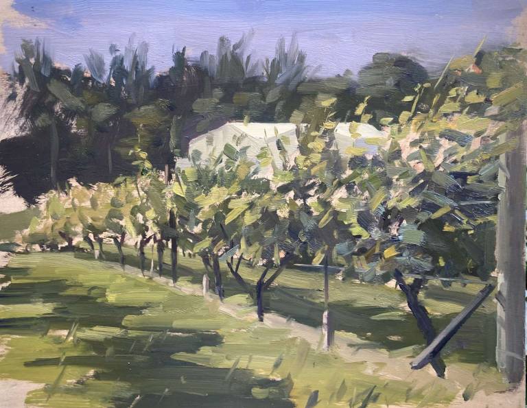 Biddenden Vineyard, Kent - Rod Major