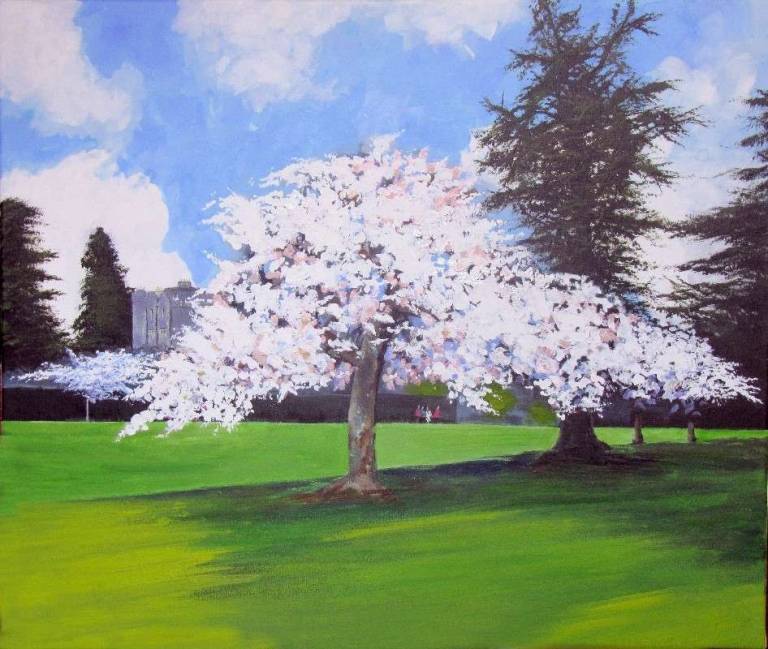 Blossom at Dartington - Totnes Art Society