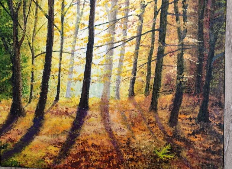 Autumn Light - Totnes Art Society
