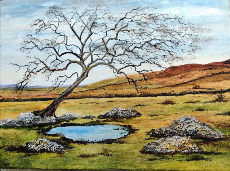 Dartmoor Tree - Totnes Art Society
