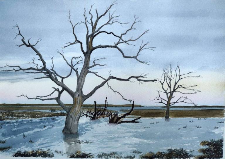 Porlock Salt Marsh - Totnes Art Society