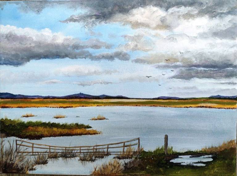 River Severn - Totnes Art Society