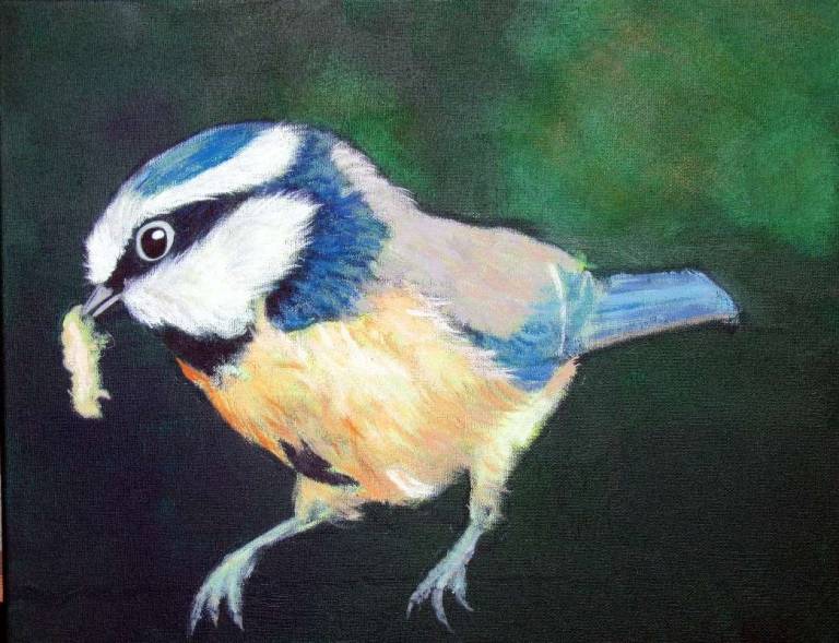 Bluetit - Totnes Art Society