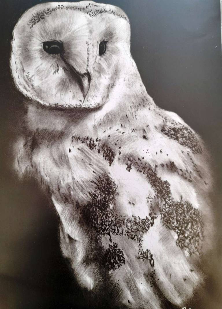 Oscar - Totnes Art Society