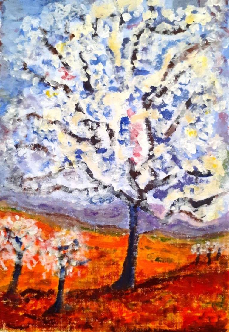 Almond Tree in Blossom - Totnes Art Society