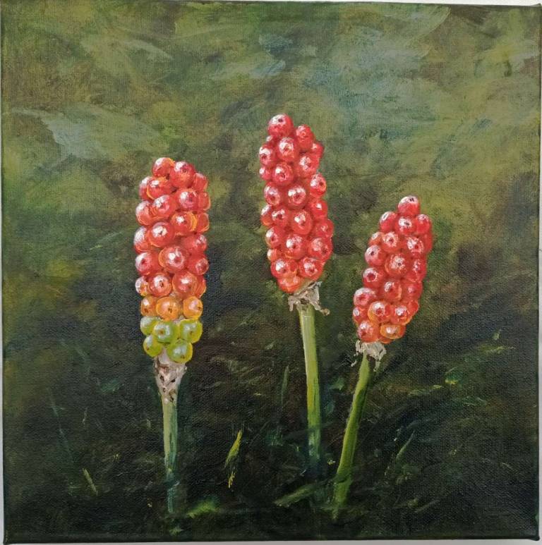 Cuckoo Pint - Totnes Art Society