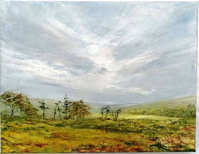 Sun trying to come through, Dartmoor - Totnes Art Society