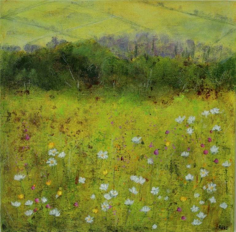 Dartmoor Flower Meadow - Totnes Art Society