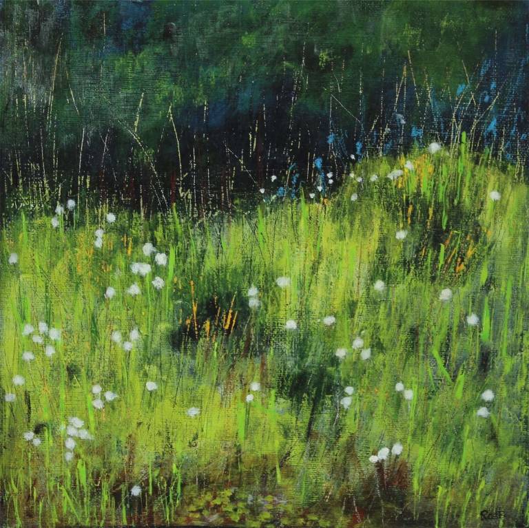 Cotton Grass in a Dartmoor Marsh - Totnes Art Society