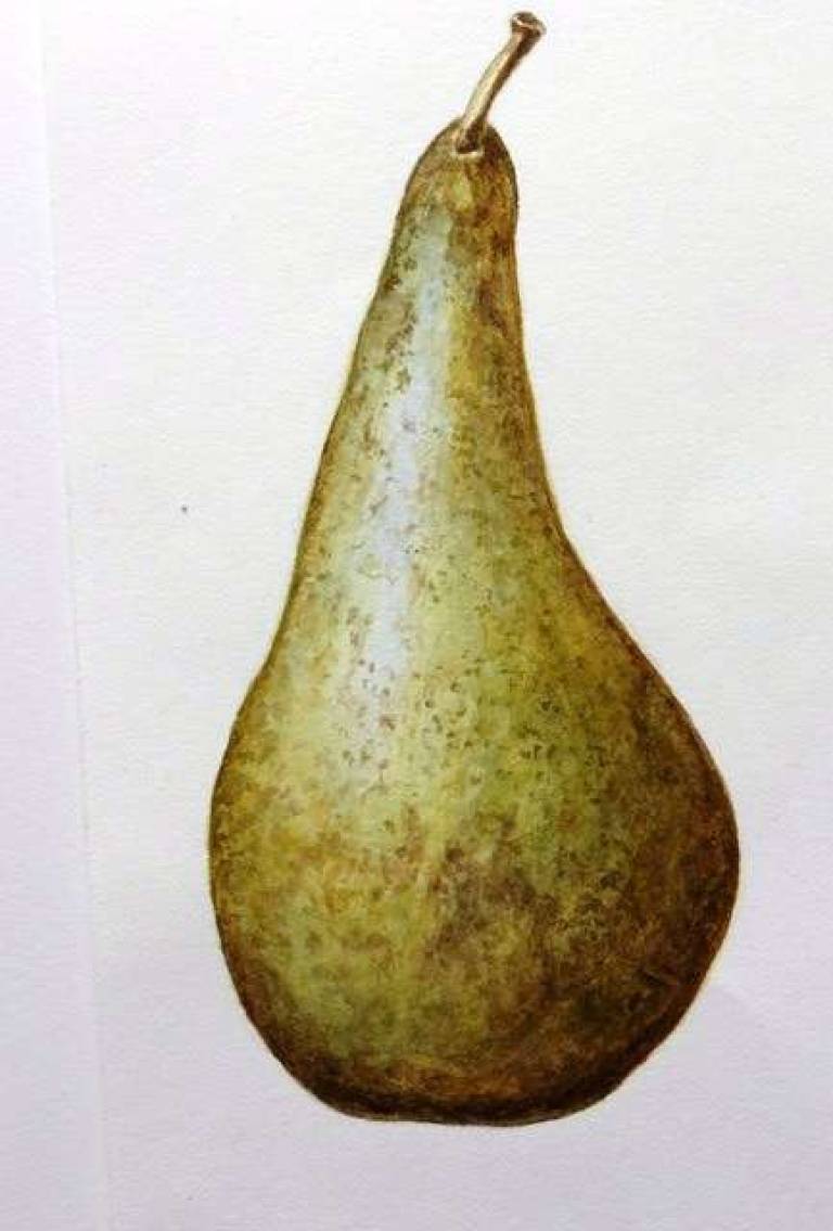 Pear - Totnes Art Society
