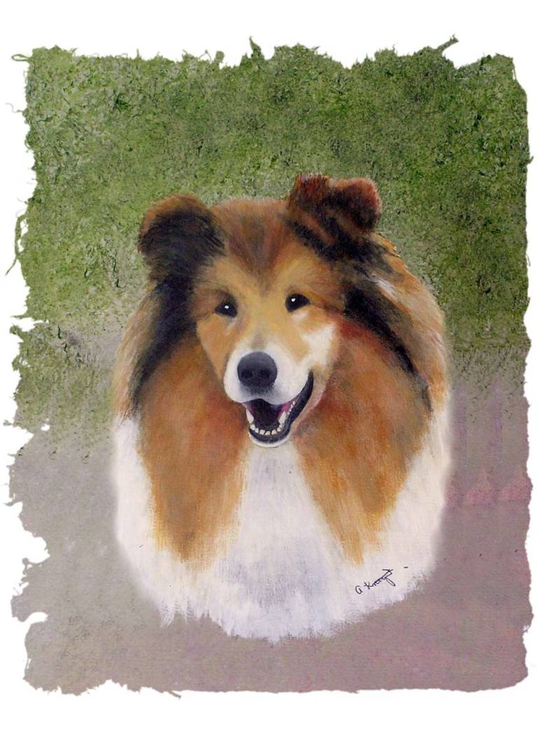 Rough Collie - Totnes Art Society