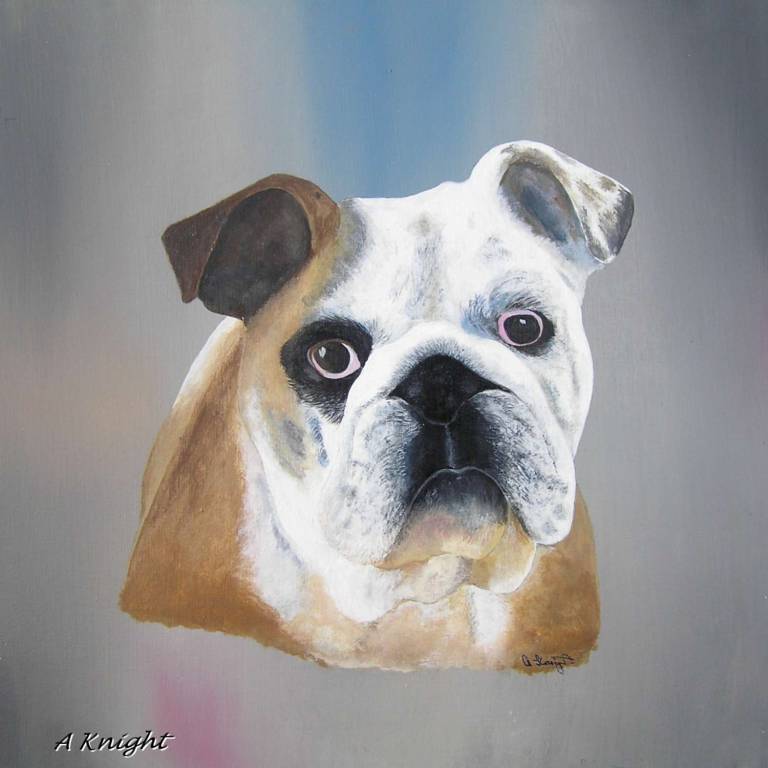 Bulldog - Totnes Art Society