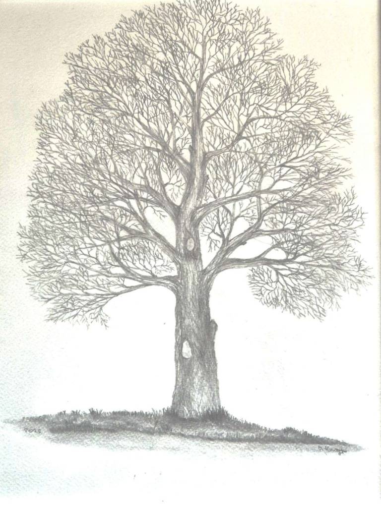 Winter - Totnes Art Society