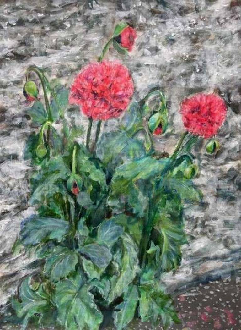 Poppies - Totnes Art Society