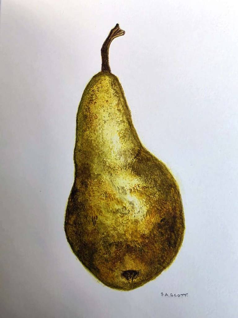 Conference Pear - Totnes Art Society