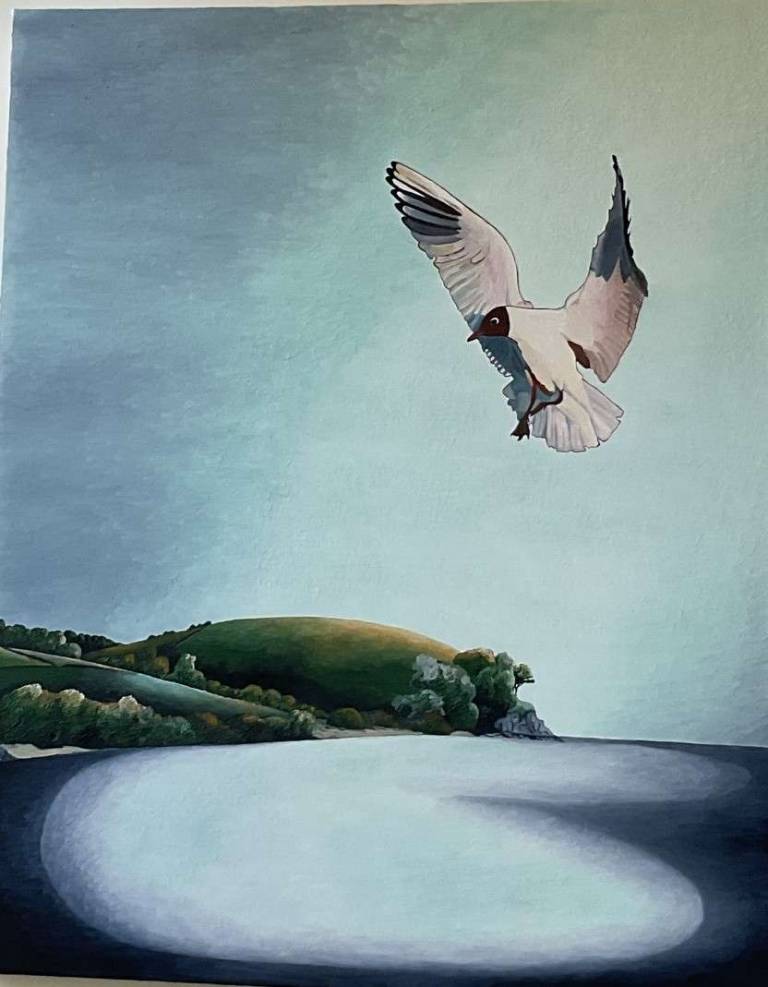 Black Capped Gull over Polgwidden Cove, Cornwall - Totnes Art Society