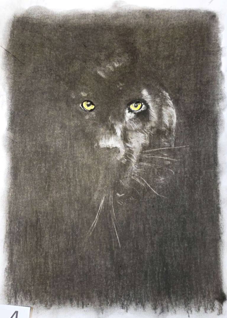 Black Dog - Totnes Art Society