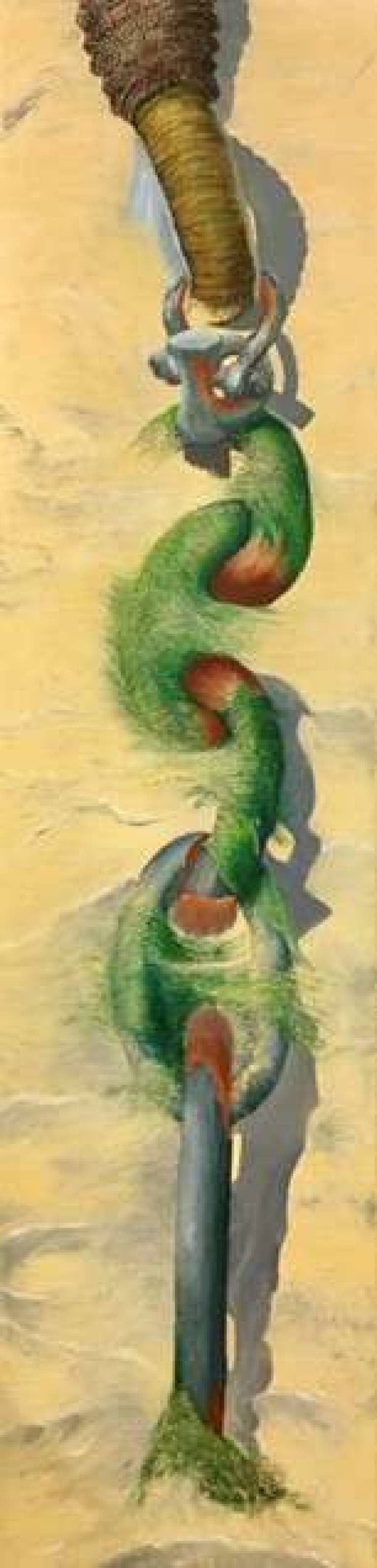 Strong Connection - Wendy Rylance