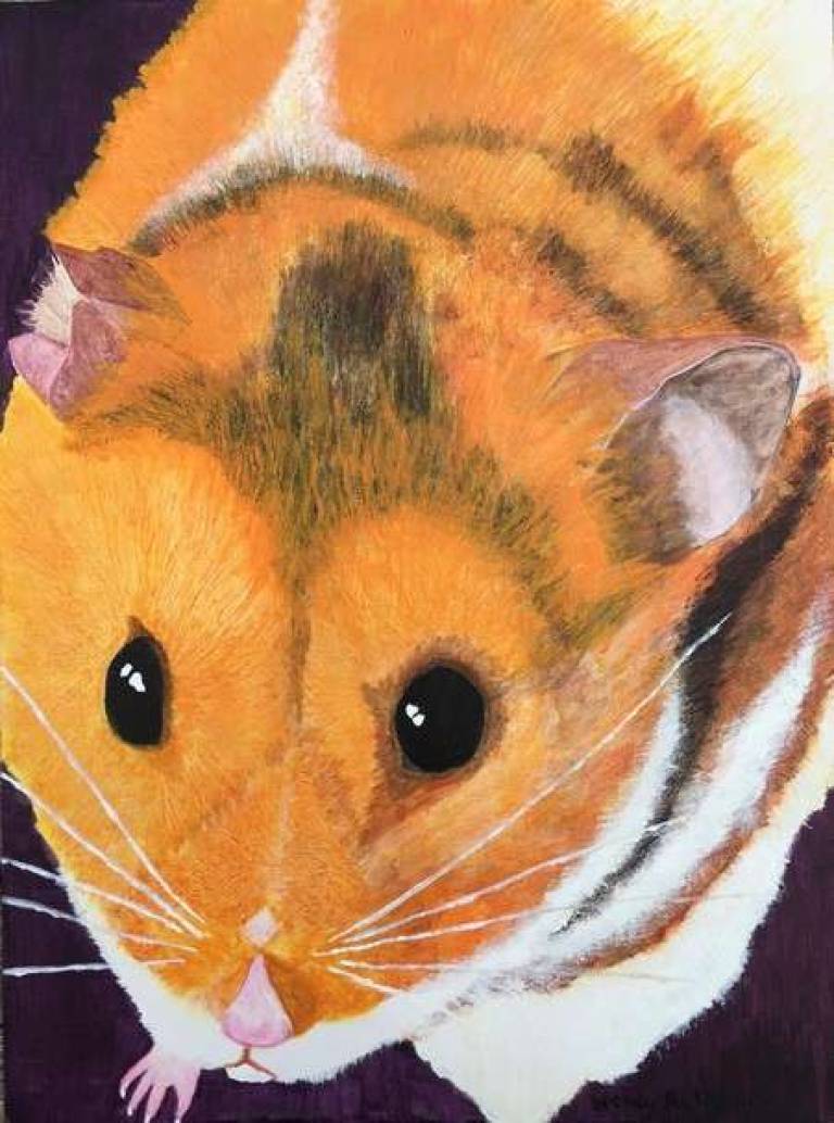 Alfie - Wendy Rylance