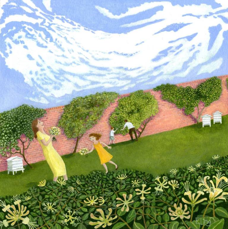 Echoes of a Summer Wedding - Ellie Ling