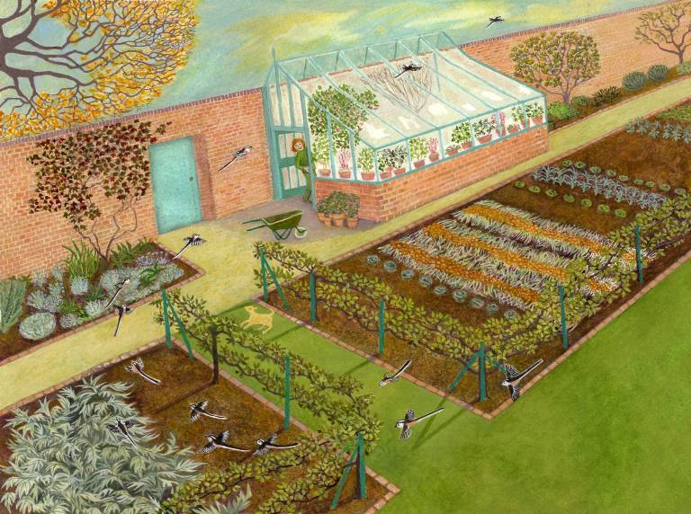 Her Favourite Flying Visitors - Ellie Ling