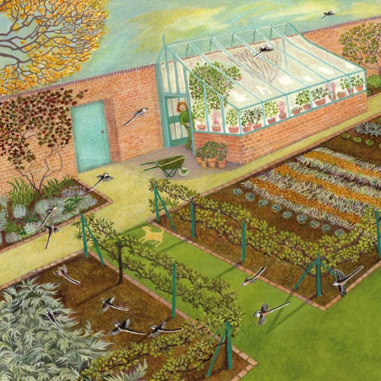 Her Favourite Flying Visitors - Ellie Ling