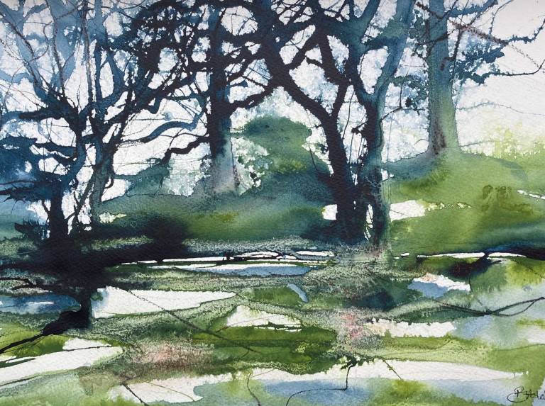 Moorland Rapids - Breda Holden