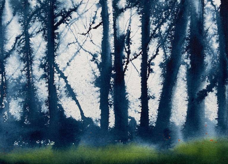 Dawn Chorus - Breda Holden