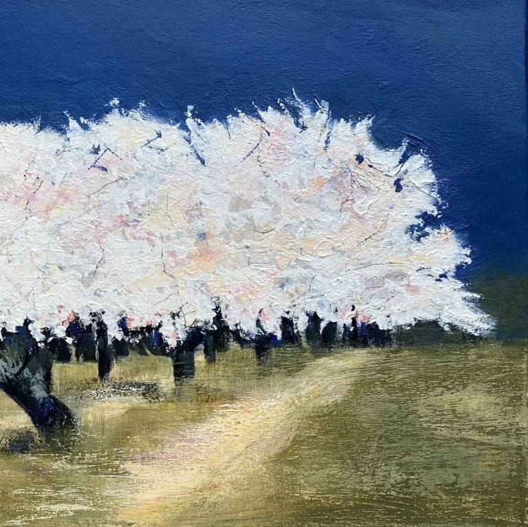 Cherry Blossom Luberon - Breda Holden