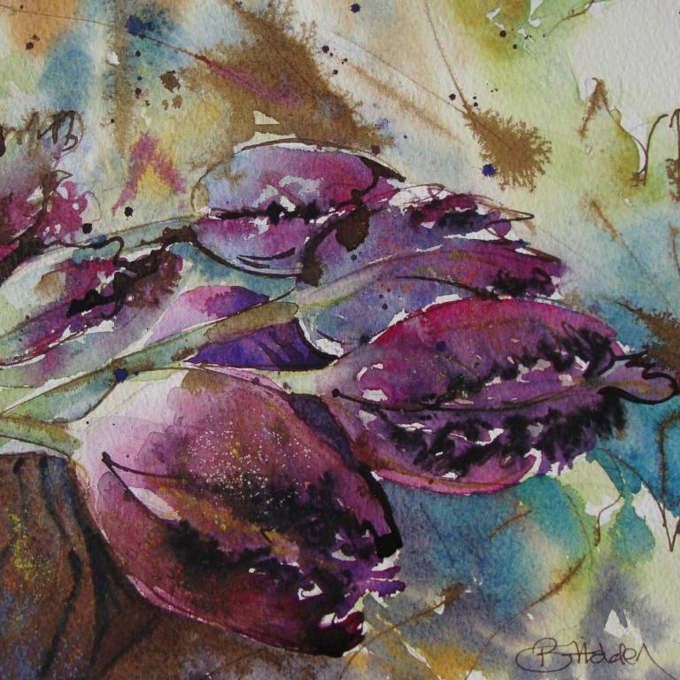 Tulip Fever - Breda Holden