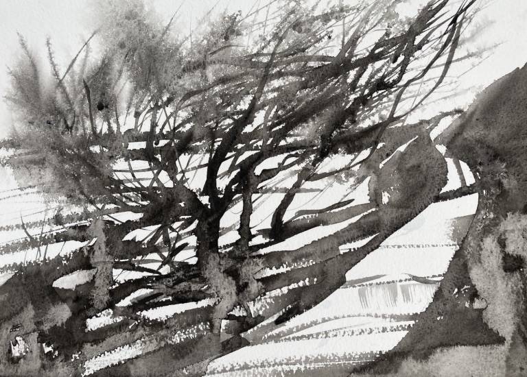 Hawthorn Path - Breda Holden