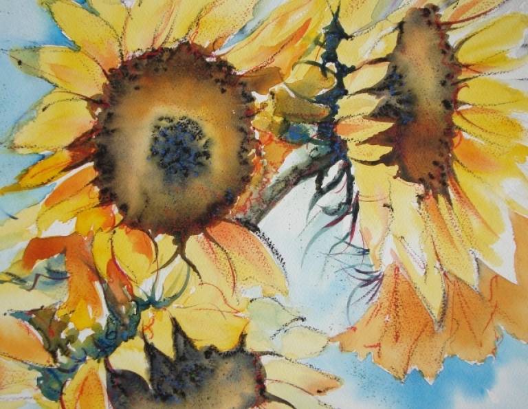 Sunflowers - Breda Holden