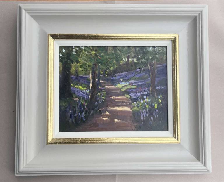 Bluebell Wood - Sandy Morgan