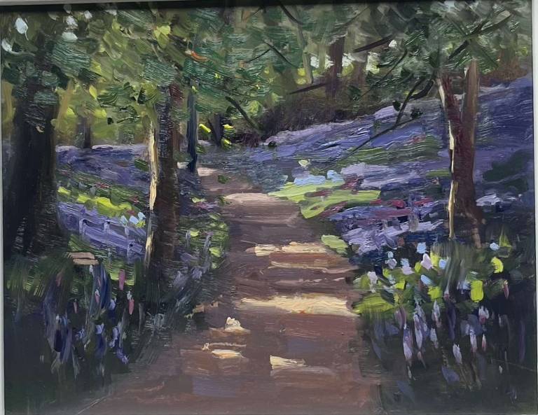 Bluebell Wood - Sandy Morgan