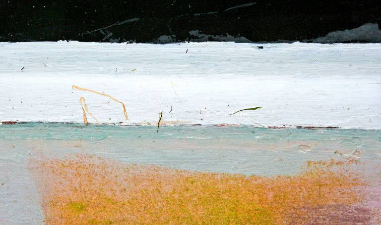 Photography - Small Format - 