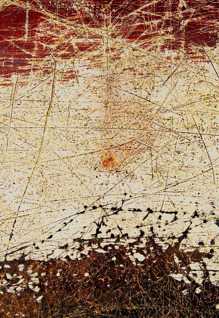 Blakeney xvi - Chris Harrison