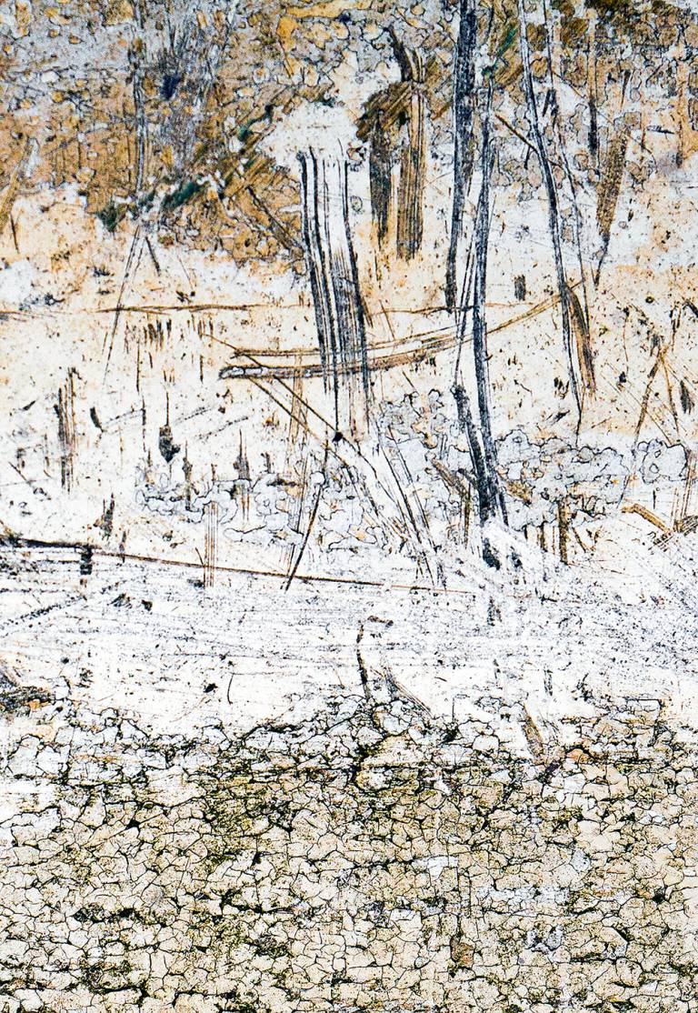 By the River Yare - Chris Harrison