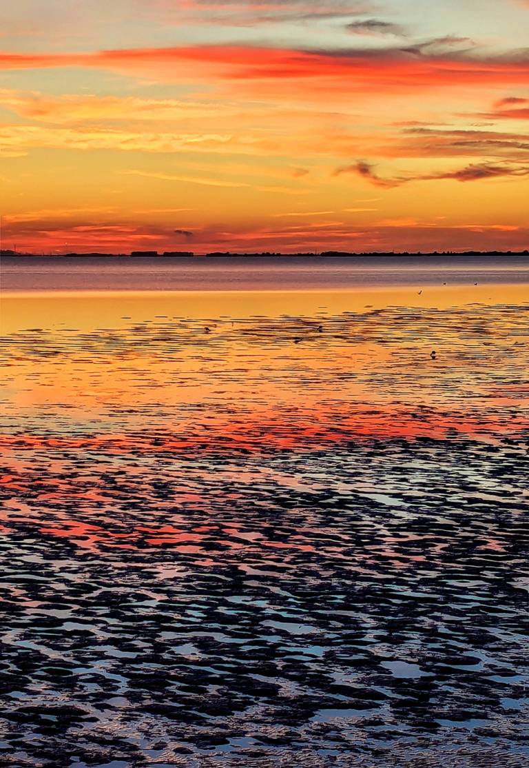 Estuary i - Chris Harrison