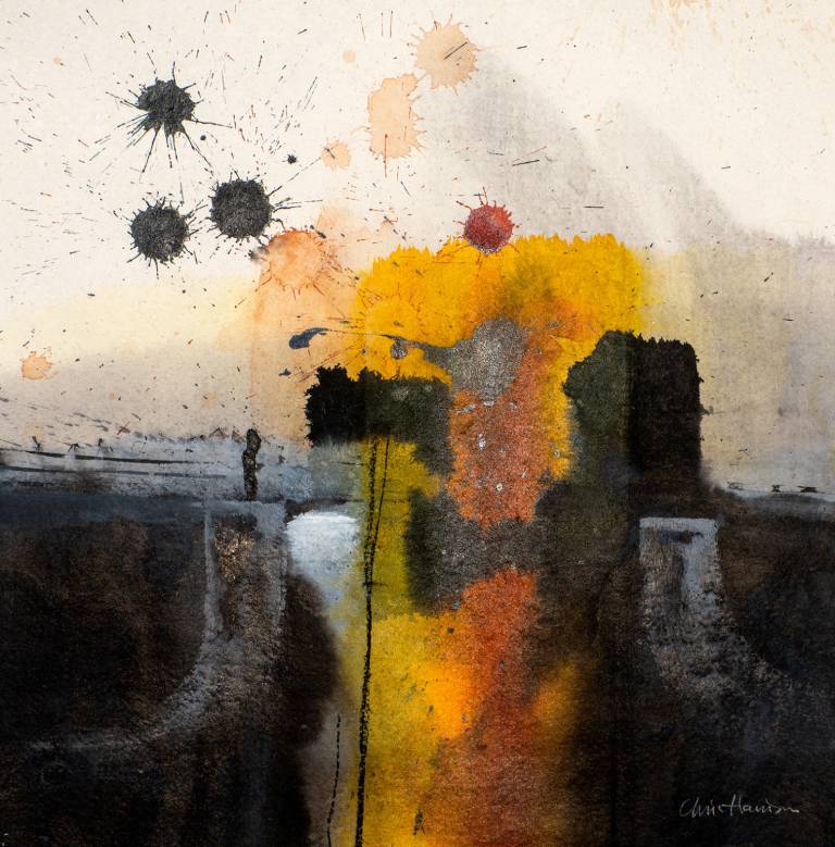 Corcovado i - Chris Harrison