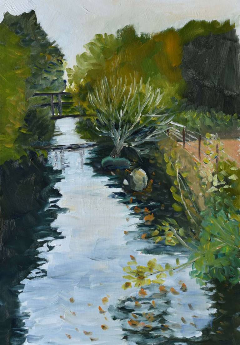 Canal And Bridge - Ronell van Wyk