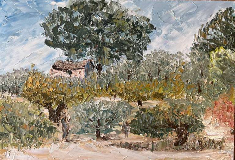 Cabanon in the olive grove - Ronell van Wyk