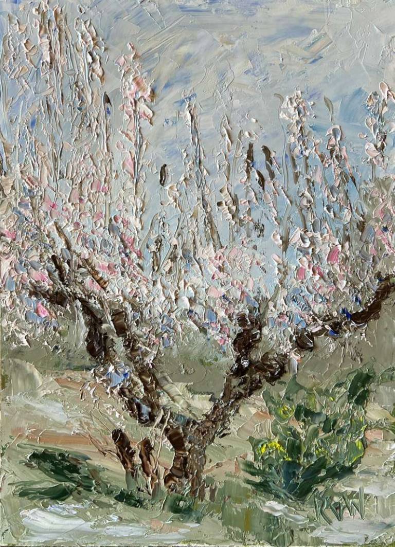 Cherry tree in spring - Ronell van Wyk