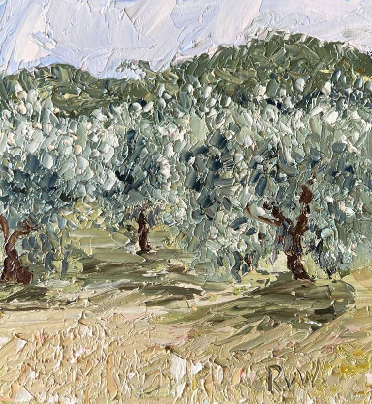 Olive grove in villars - Ronell van Wyk