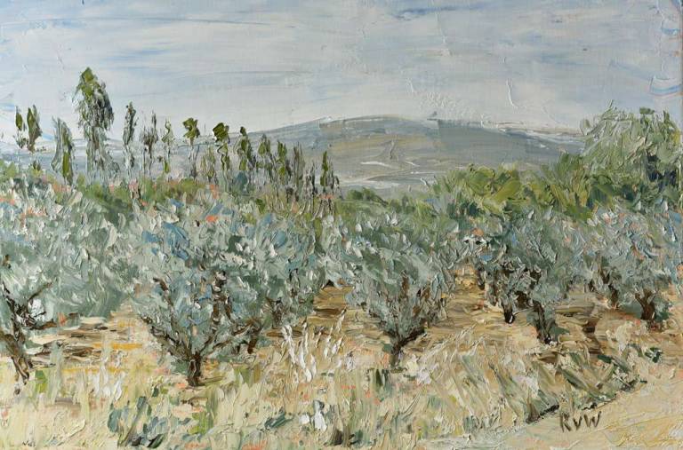 Olive grove in Roussillon - Ronell van Wyk