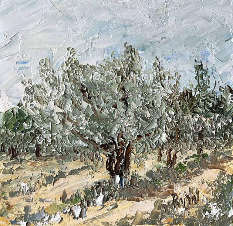 Olive grove tree sturdy 4 - Ronell van Wyk