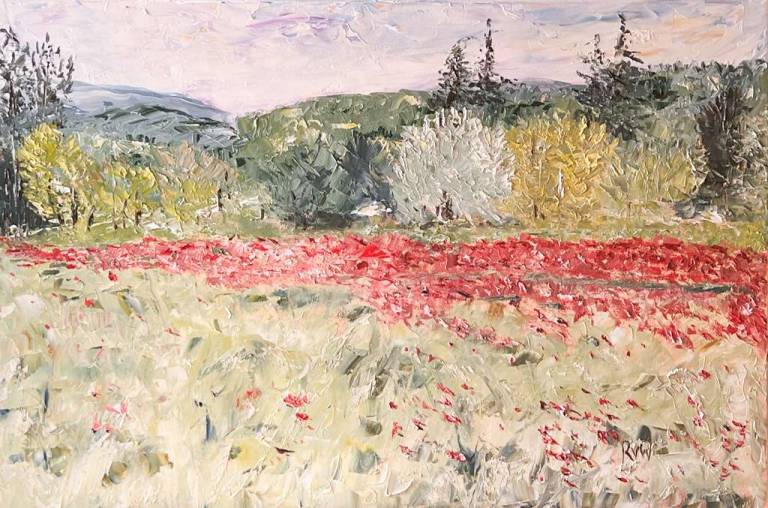 Poppyfield in Roussillon - Ronell van Wyk