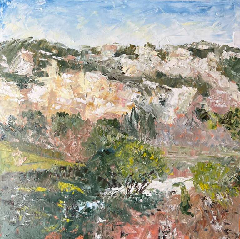 Les beaux de Provence - Ronell van Wyk