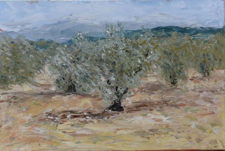 Olive Grove 18 - Ronell van Wyk