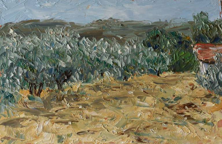 Olive grove 17 - Ronell van Wyk