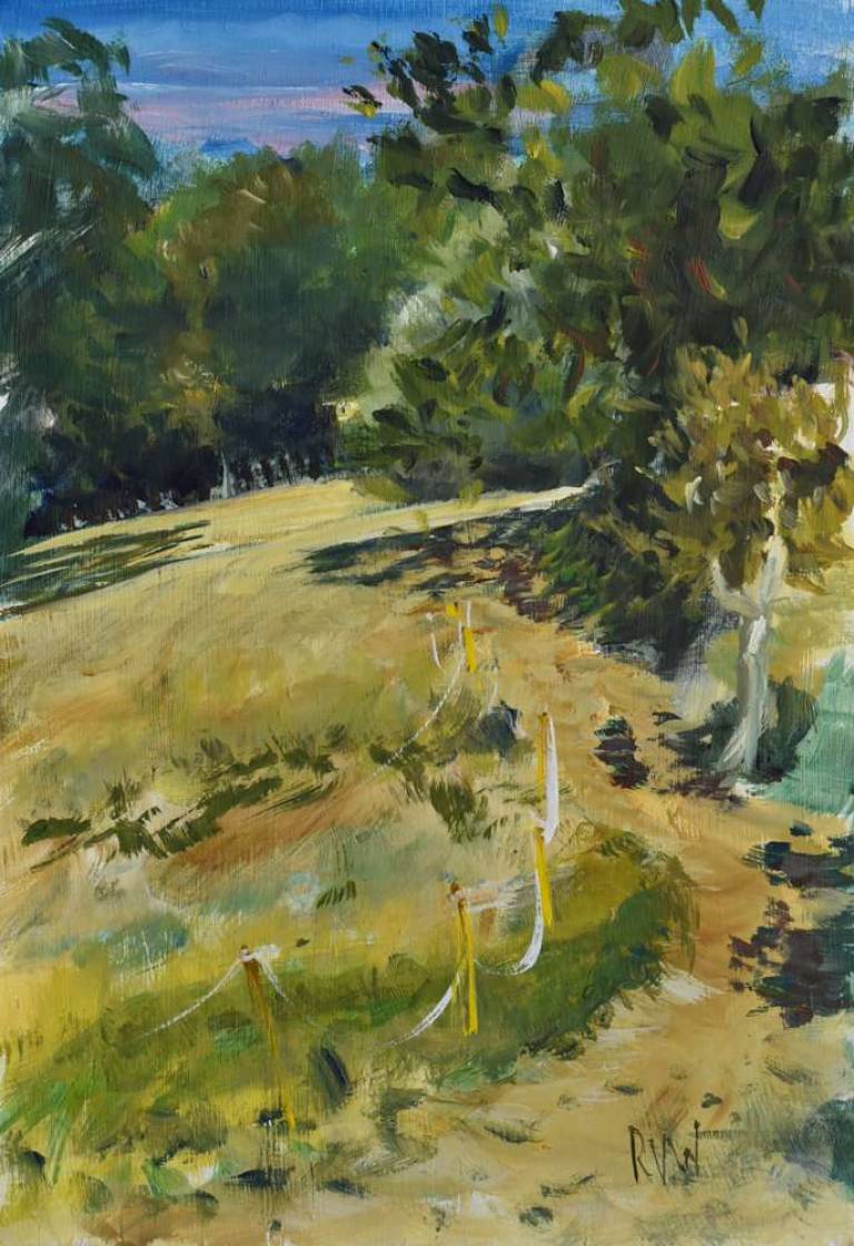 Pathway - Ronell van Wyk